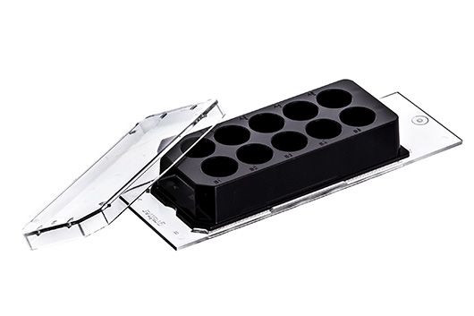 Greiner Bio-One Cellview Kulturscheibe, PS, 75/25 mm, Glasboden, 10 Kompartimente, Advanced TC, steril, 20 St/Pkg