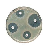 Product Image of Müller-Hinton-Agar, 120mm Squared Plate, 4 pc/PAK