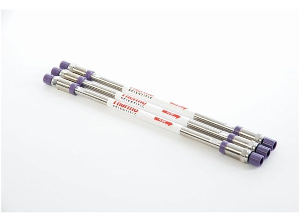 Thermo Fisher Scientific HPLC-Säule Accucore RP-MS, 80 Å, 2,6 μm, 4,6 x 100 mm
