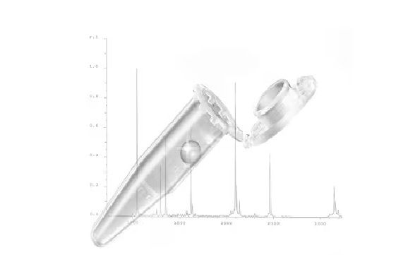 Eppendorf Röhrchen, Protein LoBind, 0,5 ml, PCR clean, farblos, Schnappdeckel, 500 St/Pkg