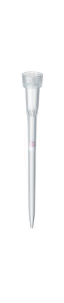 Eppendorf Filterspitzen ep Dualfilter T.I.P.S. SealMax PCR clean und steril, 0,5 – 20 μl, l, 46 mm, hellgrau, 10 x 96 St/Pkg