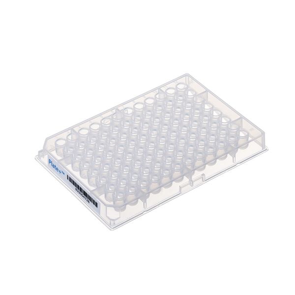 Thermo Fisher Scientific Webseal 96 Deepwell-Platte, PP, glasbeschichtet, U-Boden, 7 x 146 mm, 270 μl, 10 St/Pkg