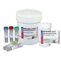 Product Image of PCR Mycoplasmen - Testkit II, 100 Tests