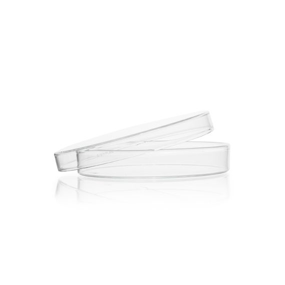 Duran Group STERIPLAN-Petrischale, Kalk-Soda-Glas, 150 x 25 mm, mit Deckel, 10 St/Pkg