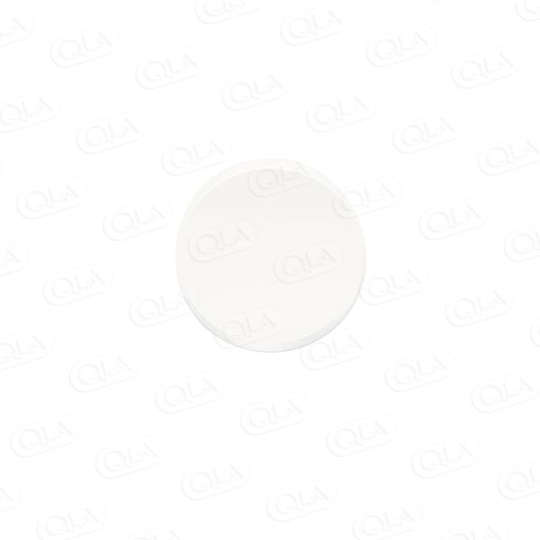 QLA Glasscheibe für Immersion Cell, für Model B (Hanson)